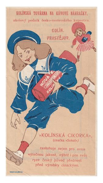 Kolínská cikorka XII.